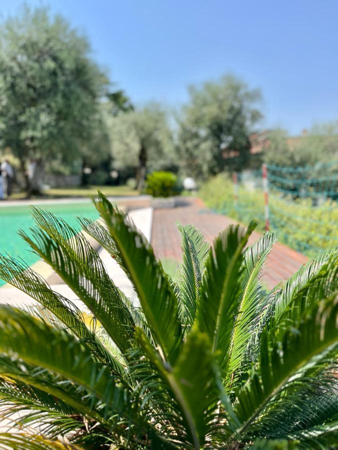 Adriana Holiday home *